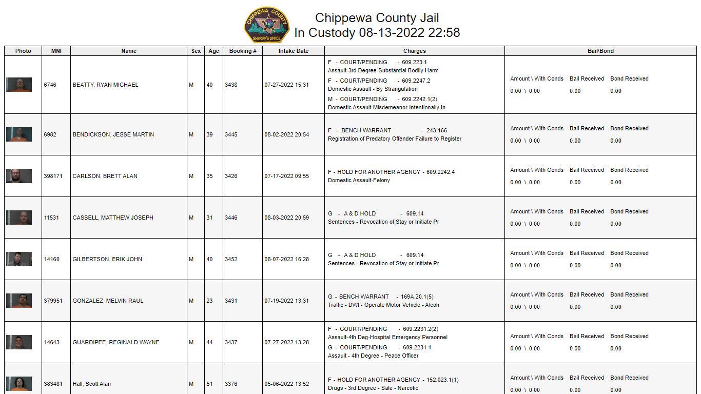 Custody Status Page with Charge Details
