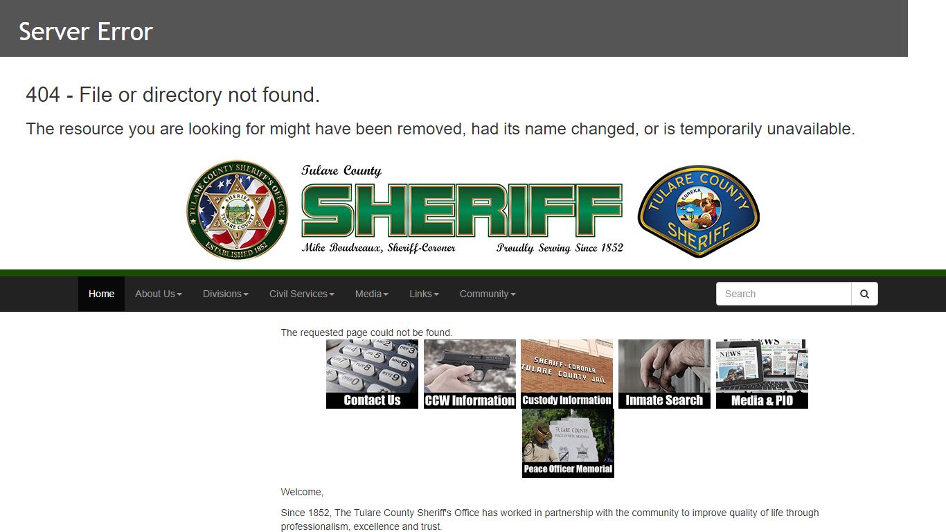 Sample inmate record from Tulare County Sheriff database showing photo, charges, and court date